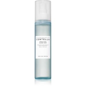 SKIN1004 Madagascar Centella Hyalu-Cica Cloudy Mist hidratáló permet nyugtató hatással 120 ml kép
