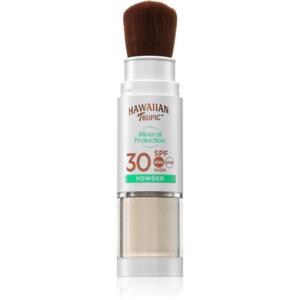 Mineral Protection Powder Brush SPF 30 4, 25 g kép