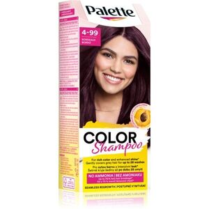 Schwarzkopf Palette Color Shampoo tonizáló sampon árnyalat 4-99 Bordeaux 50 ml kép