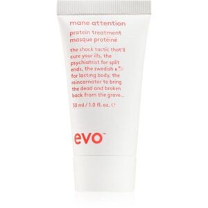 EVO Mane Attention Protein Treatment intenzív maszk magas fehérjetartalommal 30 ml kép