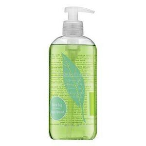 Elizabeth Arden Green Tea tusfürdő nőknek 500 ml kép