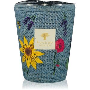 Baobab Collection Vony Tanteli illatgyertya 3000 g kép