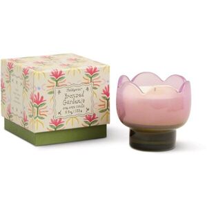 Paddywax Tulip Bronzed Gardenia illatgyertya 155 g kép