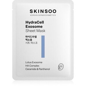 SKINSOO HydraCell Exosome Sheet Mask hidratáló gézmaszk 22 g kép