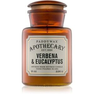 Paddywax Apothecary Verbena & Eucalyptus illatgyertya 226 g kép