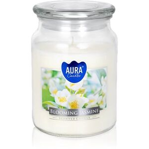 BISPOL Premium Line Blooming Jasmine illatgyertya 500 g kép