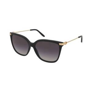 Ralph Lauren Ralph Lauren RL8209 5001/8G kép