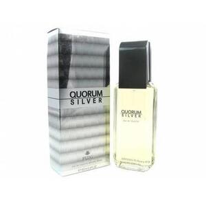 Quorum Silver EDT 100 ml kép