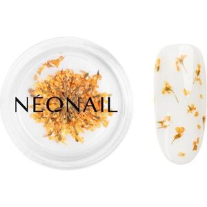 NEONAIL Dried Flowers szárított virág körmökre árnyalat Orange 1 db kép