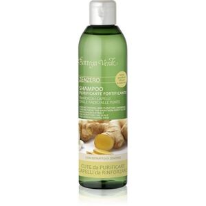Bottega Verde Zenzero tisztító sampon a haj megerősítésére 250 ml kép