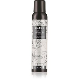 Black Professional Line Line Volume Up Root Spray spray a dús hajért a finom hajért 300 ml kép