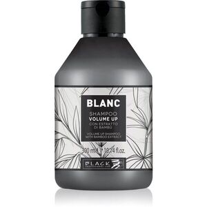 Black Professional Line Line Volume Up Shampoo sampon a dús hajért a finom hajért 300 ml kép