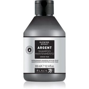 Black Professional Line Line Argent Shampoo hajerősítő sampon a sérült hajra a matt hajért 300 ml kép