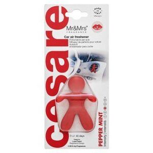 Mr&Mrs Fragrance Cesare Car Air Freshener Pepper Mint kép