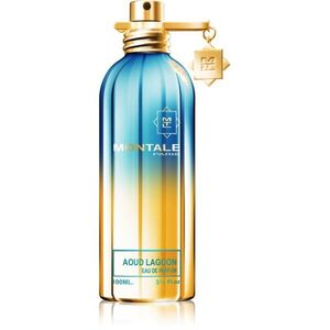 Montale Aoud Lagoon Eau de Parfum unisex 100 ml kép