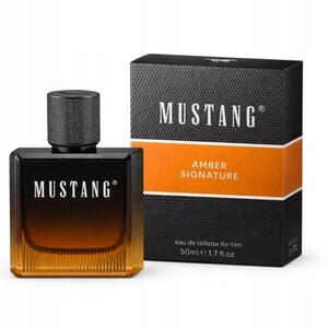 Amber Signature EDT 50 ml kép