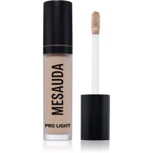 Mesauda Pro Light hidratáló korrektor árnyalat W20 4 ml kép