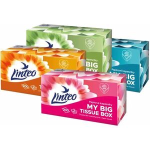Linteo Paper Tissues Two-ply Paper, 200 pcs per box papírzsebkendő 200 db kép