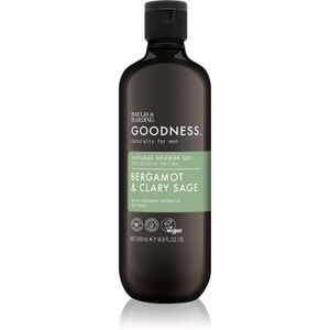 Baylis & Harding Goodness Bergamot & Clary Sage fürdőgél férfiaknak 500 ml kép