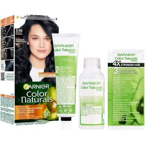 Garnier Color Naturals Creme hajfesték árnyalat 2.10 Blueberry Black 1 db kép