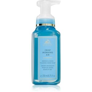 Bath & Body Works Crisp Morning Air folyékony szappan 259 ml kép