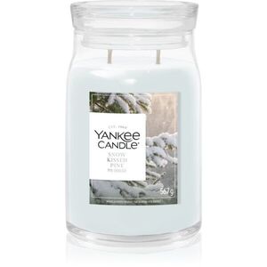 Yankee Candle Snow Kissed Pine illatgyertya 567 g kép