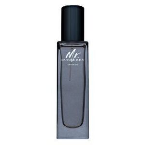 Burberry Mr. Burberry Indigo Eau de Toilette férfiaknak 30 ml kép