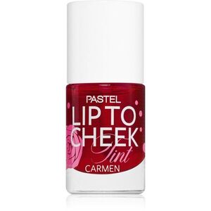 Pastel Lip To Cheek Tint folyékony arcpirosító az arcra és a szájra árnyalat 01 Carmen 9.6 ml kép