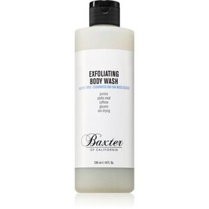 Baxter of California Exfoliating Body Wash hámlasztó tusfürdő gél 236 ml kép