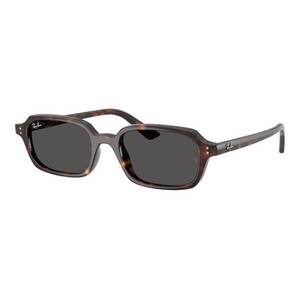 Ray-Ban Ray-Ban RB4455 135987 kép