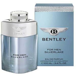 Silverlake for Men EDP 100 ml kép