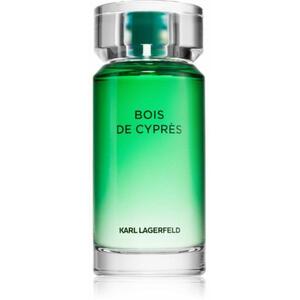Bois de Cypres EDT 100 ml kép