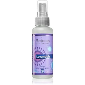 Saloos Air Fresheners Lavender lakásparfüm 50 ml kép