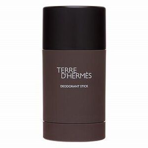 Hermes Terre D'Hermes deostick férfiaknak 75 ml kép