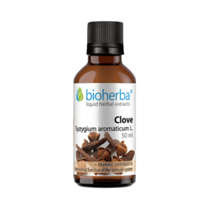 Szegfűszeg tinktúra cseppek – 50 ml – Bioherba kép