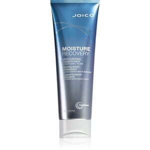 Joico Moisture Recovery hidratáló kondicionáló száraz hajra 250 ml kép