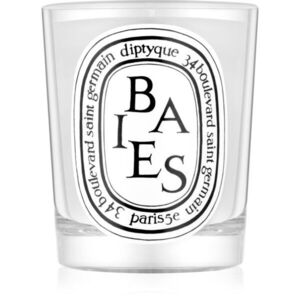 Diptyque Baies illatgyertya 190 g kép