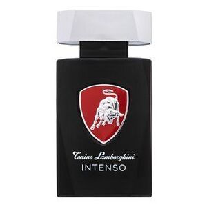 Tonino Lamborghini Intenso Eau de Toilette férfiaknak 125 ml kép