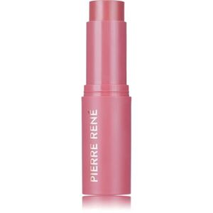 Pierre René Blush Me Stick arcpirosító stift árnyalat 05 Cherry Lady 10.5 g kép