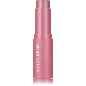 Pierre René Blush Me Stick arcpirosító stift árnyalat 04 Blush Mauve 10.5 g kép