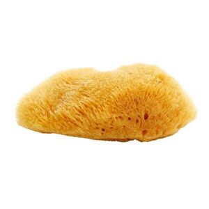 Magnum Natural karib-tengeri szivacs 10- 12 cm kép