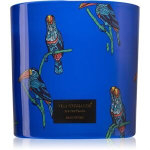 Vila Hermanos Jungletopia Rain Forest illatgyertya 620 g kép