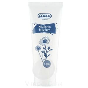 Kézbalzsam 100 ml kép